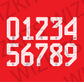 Custom 2025/26 Bayern München Nameset | Your Name & Number - Wizkits