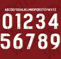 Custom 25/26 Galatasaray UCL Nameset | Your Name & Number - Wizkits